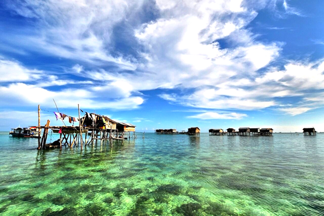 bajau turu