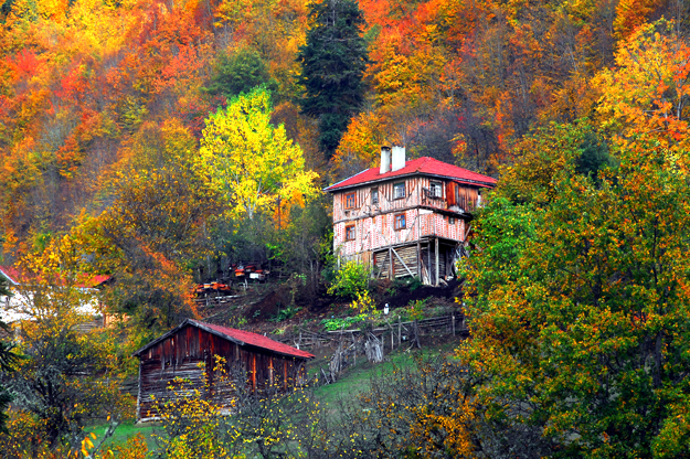 kastamonu fotoğraf turu gezisi