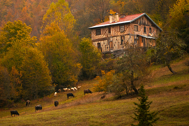 kastamonu fotoğraf turu gezisi