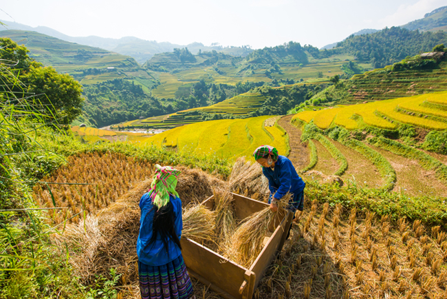 vietnam fotoğraf turu gezisi